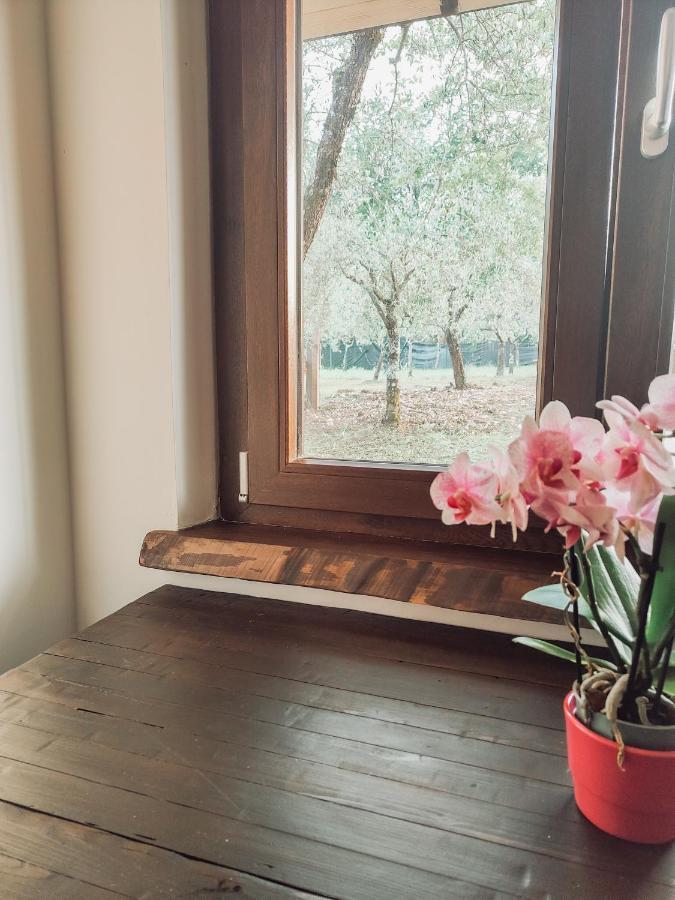 Arce Casale Dei Ricordi Bed & Breakfast エクステリア 写真